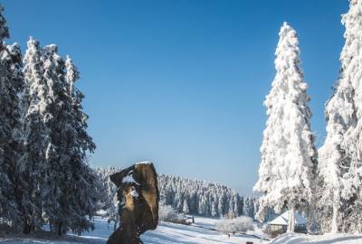 重庆周边冬游推荐：仙女山冰雪季将至，滑雪赏凇这样玩才尽兴